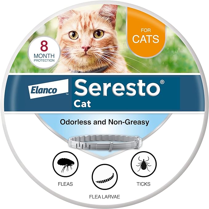 Collar for Cats