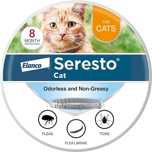 Collar for Cats